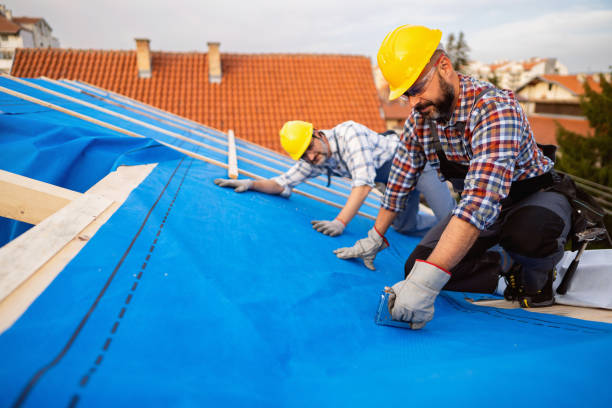 Best Sealant for Roof  in Fall City, WA